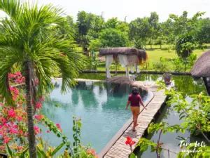 adelaida resort tabaco|Mt. Masaraga Campsite plus Adelaida Farm Resort .